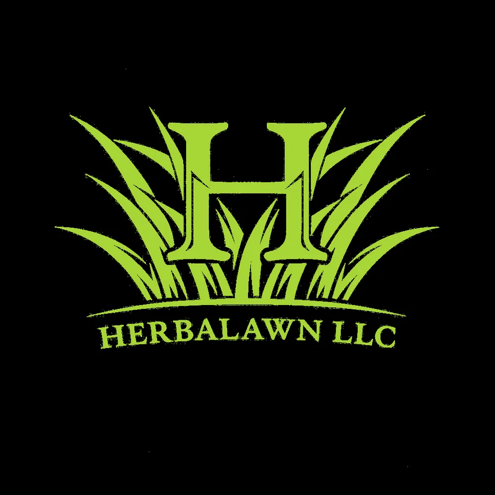 Affordable lawn mowing service in Lacy-Lakeview, TX - HerbaLawn