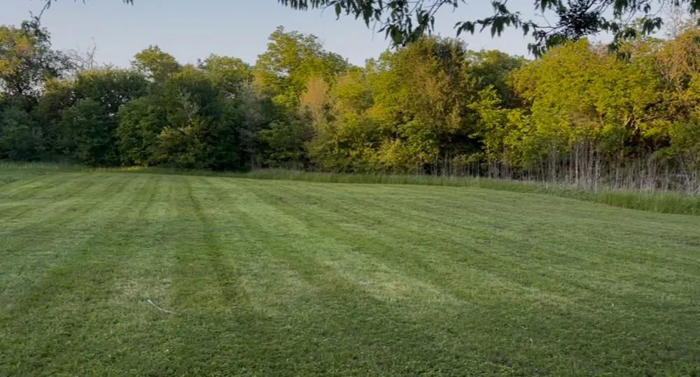 Top-rated landscaping services for outdoor upgrades in Lacy-Lakeview, TX by HerbaLawn