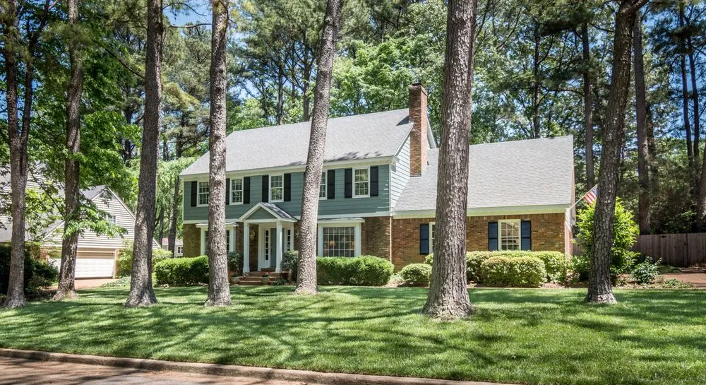 Top-rated yard cleanup service in Memphis, TN by Herbi-Systems