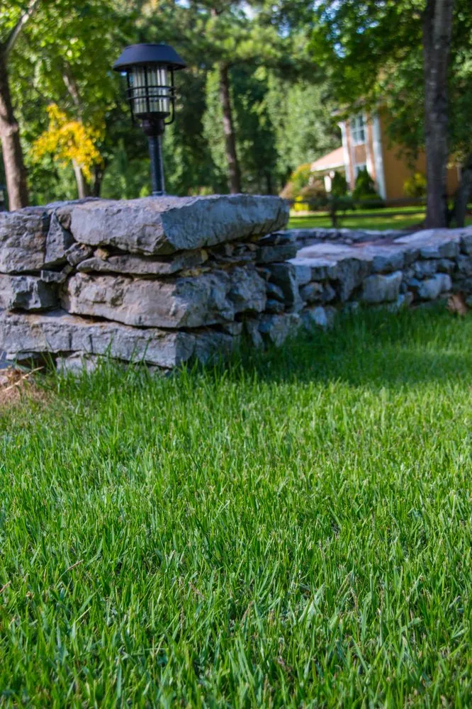 Top-rated landscape design for residential properties in Memphis, TN by Herbi-Systems