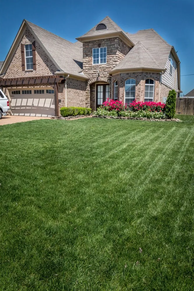 Professional garden landscaping for beautiful yards across Memphis, TN - Herbi-Systems