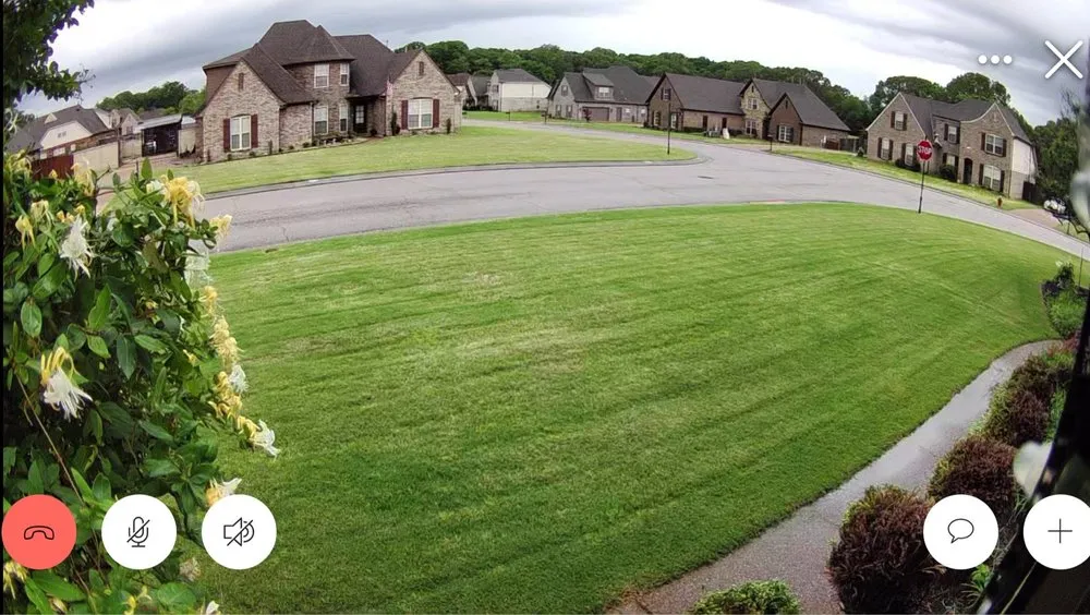 Trusted yard cleanup service in Memphis, TN by Herbi-Systems