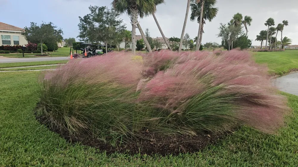 Local residential landscaping in Port Saint Lucie, FL - Herbicide Heroes