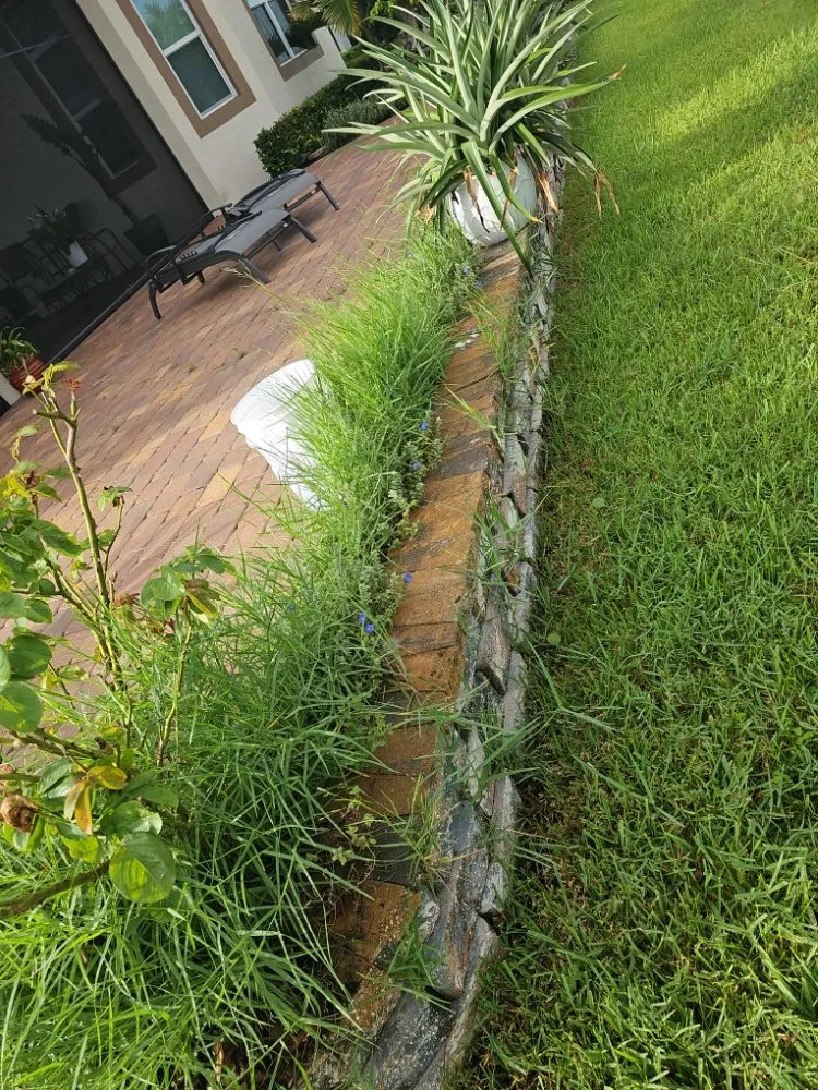 Affordable outdoor landscaping for residential properties in Port Saint Lucie, FL by Herbicide Heroes