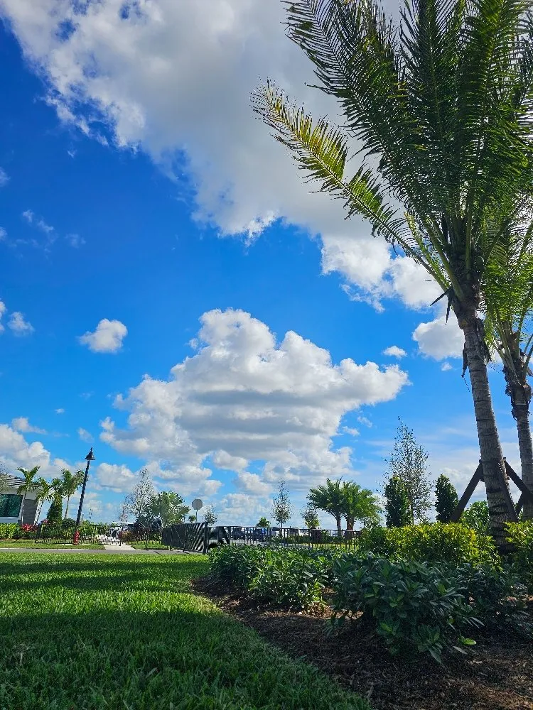 Expert yard cleanup service with custom design in Port Saint Lucie, FL by Herbicide Heroes