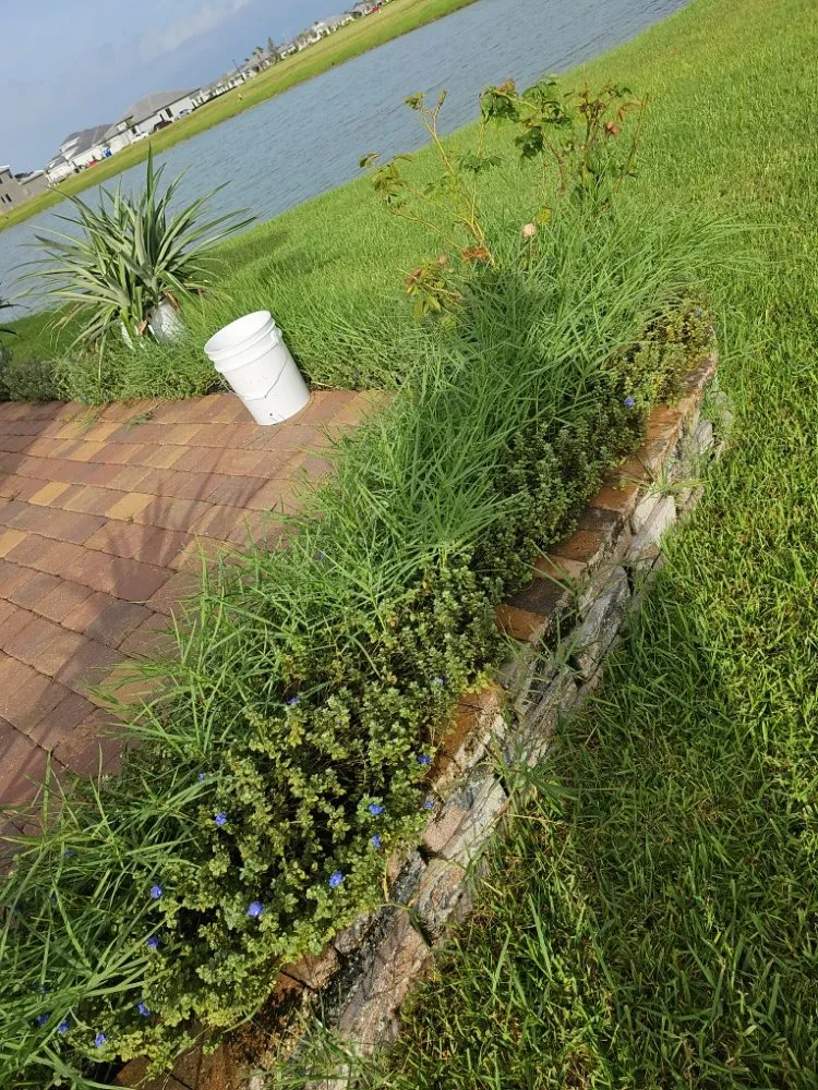 Top-rated lawn care service in Port Saint Lucie, FL - Herbicide Heroes