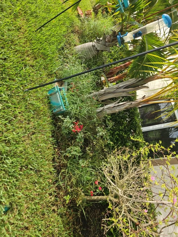 Professional landscaping services for beautiful yards in Port Saint Lucie, FL by Herbicide Heroes