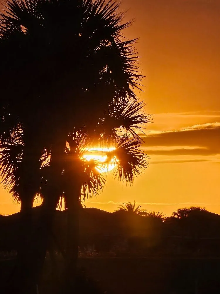 Custom landscaping services in Port Saint Lucie, FL by Herbicide Heroes