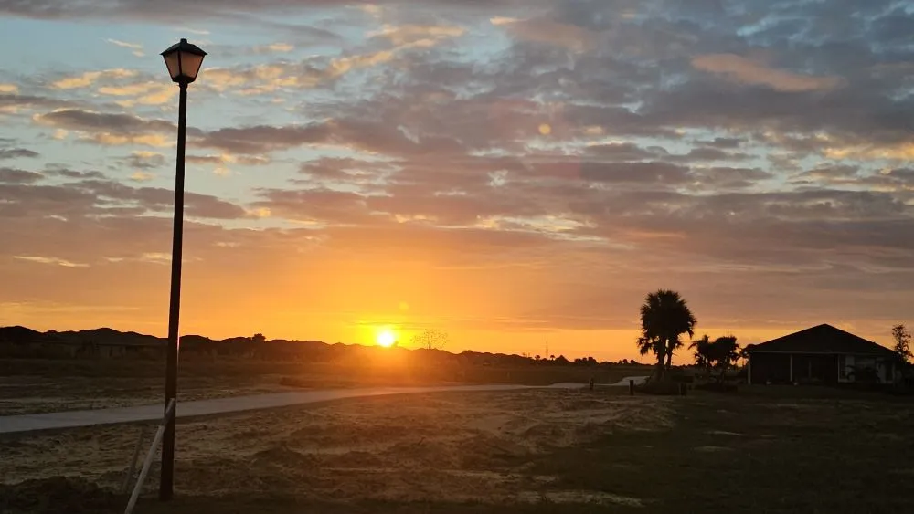 Affordable residential landscaping experts serving Port Saint Lucie, FL - Herbicide Heroes