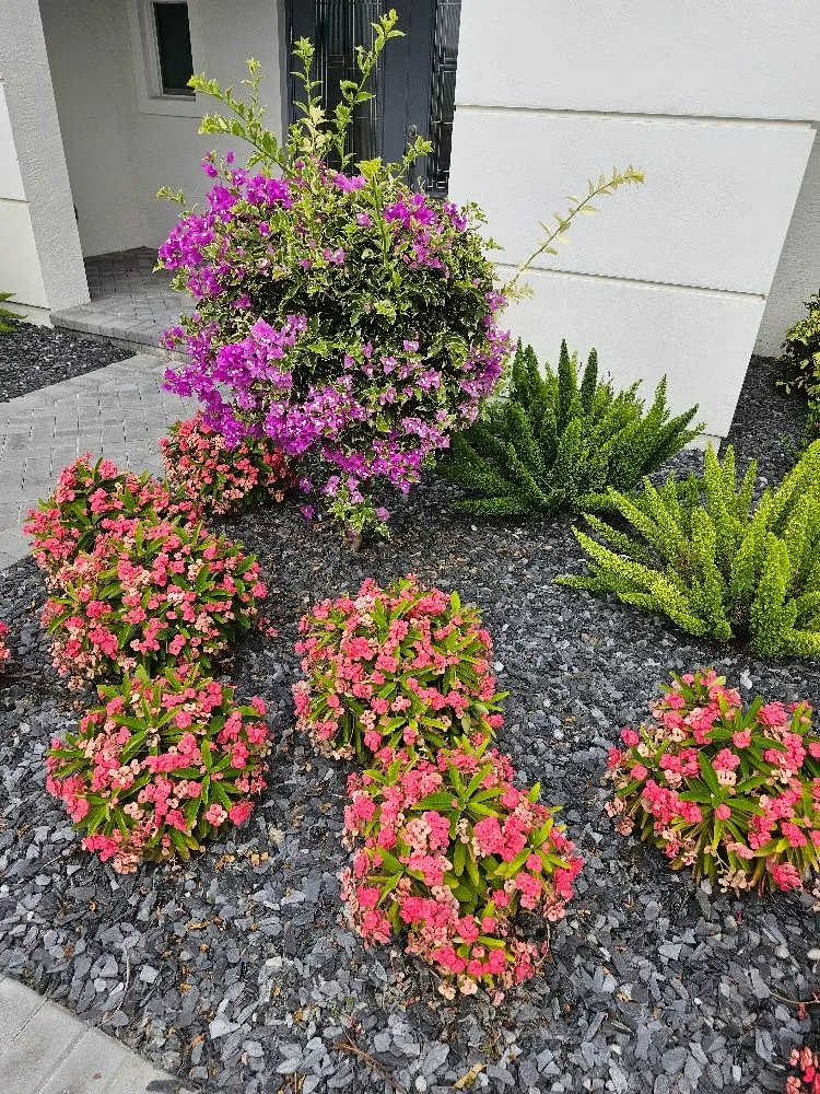 Reliable landscape installation for homes in Port Saint Lucie, FL by Herbicide Heroes