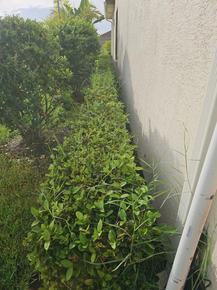 Affordable residential landscaping near you in Port Saint Lucie, FL by Herbicide Heroes