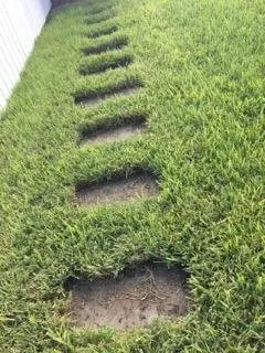 Local yard cleanup service in Saint Augustine, FL by Herbie's Lawn Care