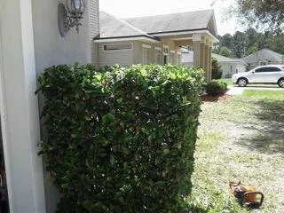 Top-rated landscape installation in Saint Augustine, FL - Herbie's Lawn Care