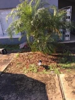 Trusted lawn mowing service for homes in Saint Augustine, FL by Herbie's Lawn Care