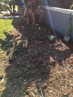 Expert yard maintenance in Saint Augustine, FL by Herbie's Lawn Care