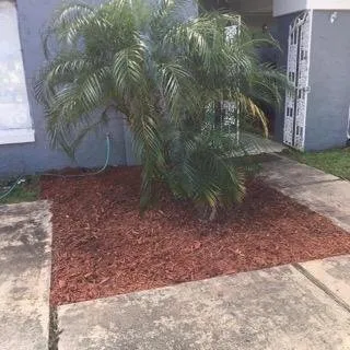 Top-rated lawn mowing service for beautiful yards across Saint Augustine, FL - Herbie's Lawn Care