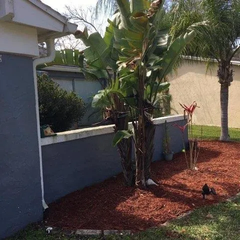 Top-rated lawn care service in Saint Augustine, FL - Herbie's Lawn Care