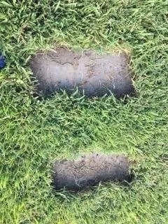 Trusted landscape design in Saint Augustine, FL by Herbie's Lawn Care