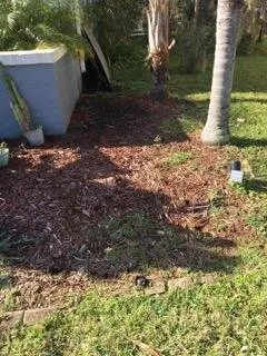 Custom landscaping services in Saint Augustine, FL by Herbie's Lawn Care