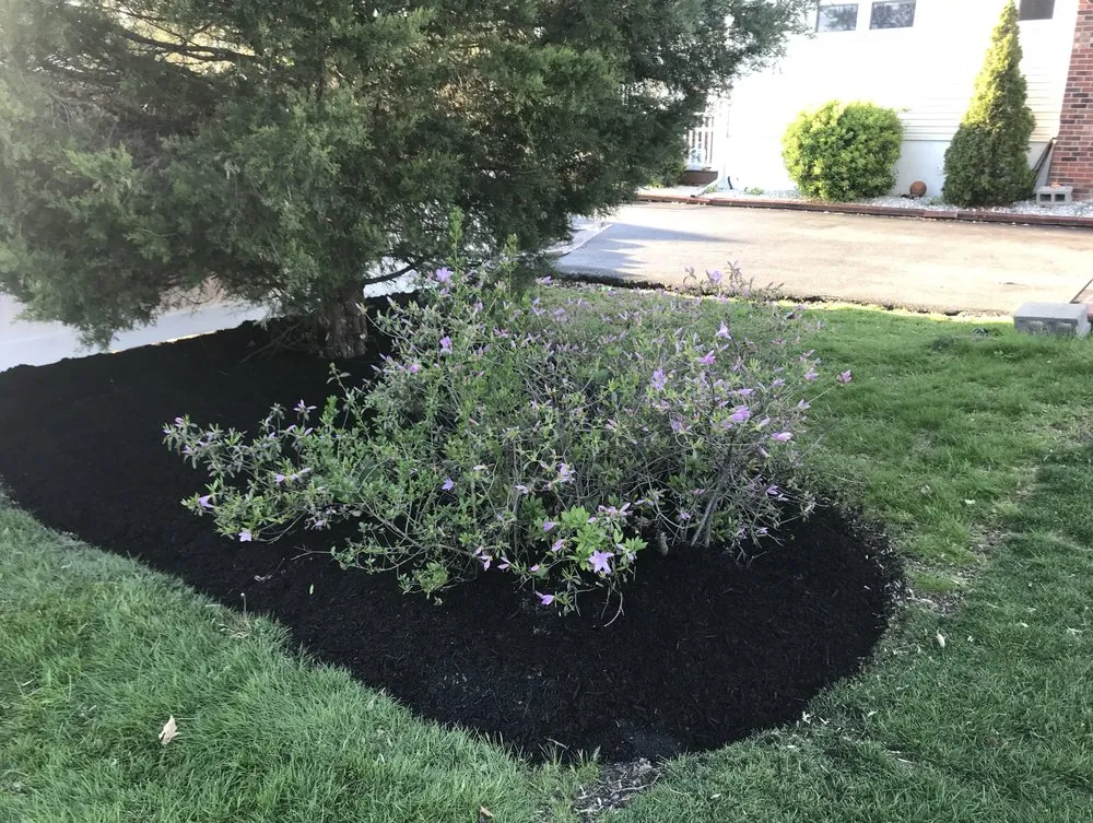 Custom lawn mowing service for homes in Maple Shade, NJ by Herbs Lawn Care