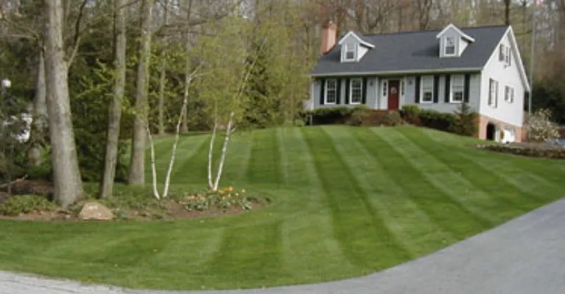 Reliable yard maintenance with custom design in Swansea, IL by Herb’s Outdoor Service