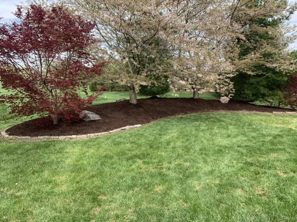 Reliable yard cleanup service for beautiful yards in Swansea, IL by Herb’s Outdoor Service