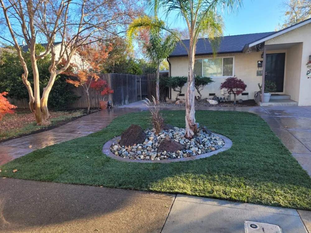 Reliable yard cleanup service experts serving Sacramento, CA - Hercaz Landscape