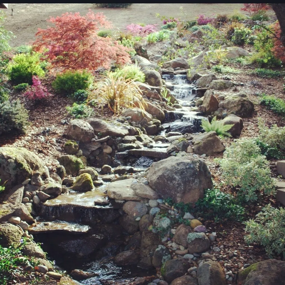 Professional garden landscaping in Sacramento, CA by Hercaz Landscape