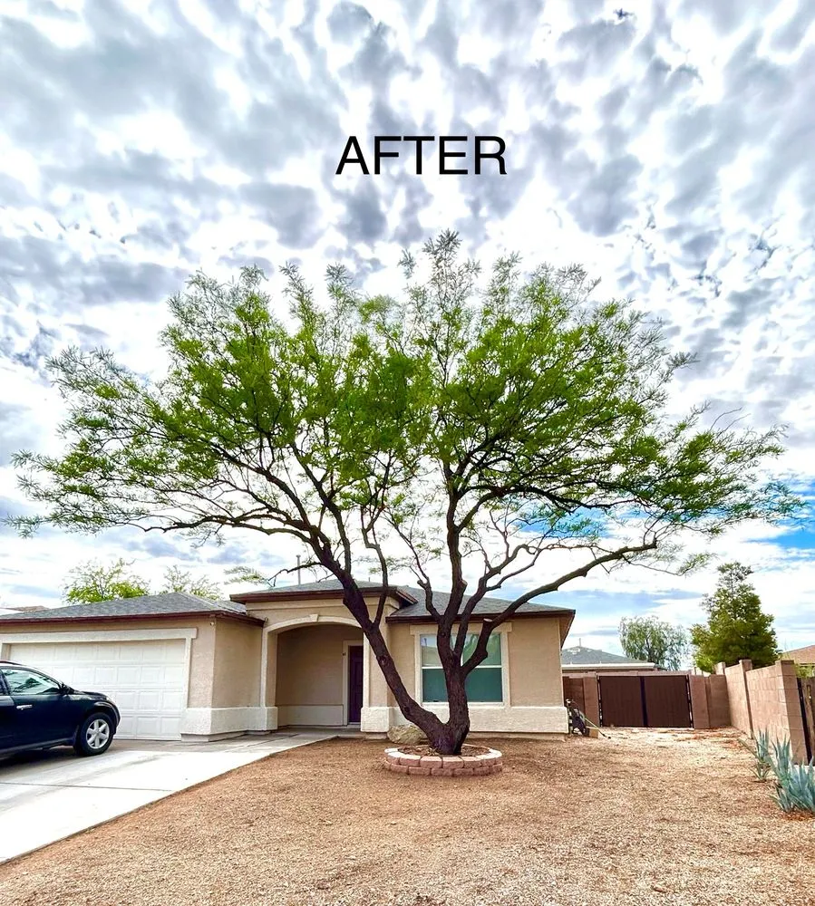 Local lawn care service for year-round maintenance across Marana, AZ - Hercs Works