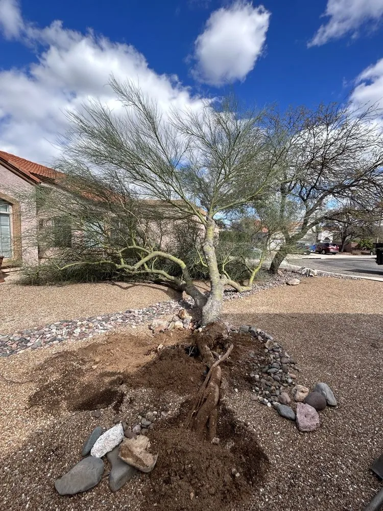 Expert garden landscaping for residential properties in Marana, AZ by Hercs Works