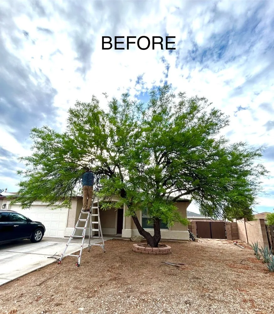 Custom lawn care service for homes across Marana, AZ - Hercs Works
