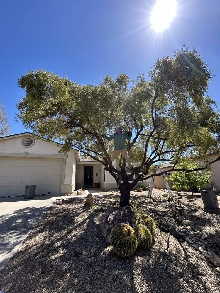 Custom landscape design in Marana, AZ by Hercs Works