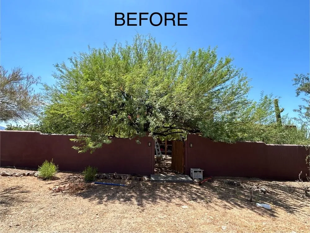 Affordable landscape installation in Marana, AZ by Hercs Works