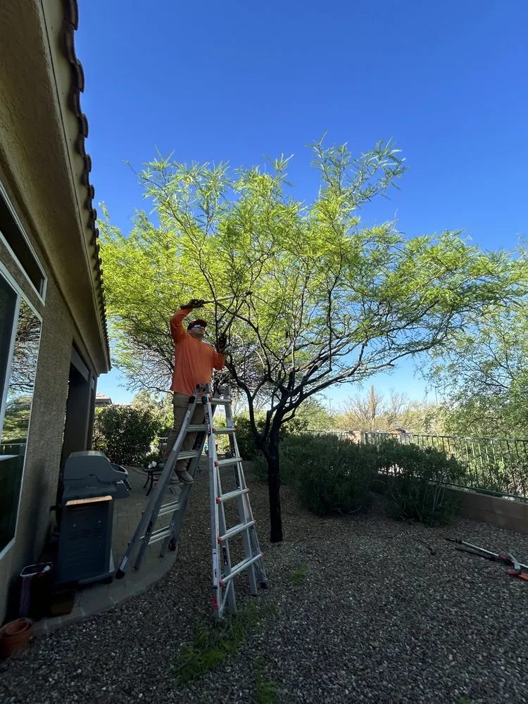 Local residential landscaping in Marana, AZ - Hercs Works