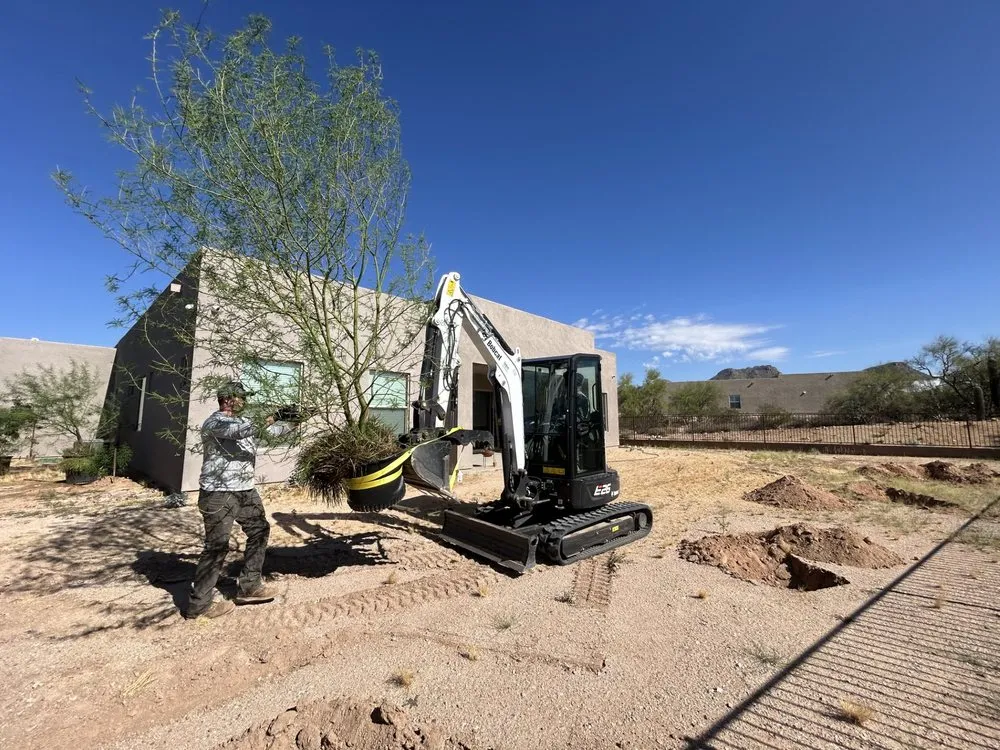 Expert yard maintenance for homes in Marana, AZ by Hercs Works