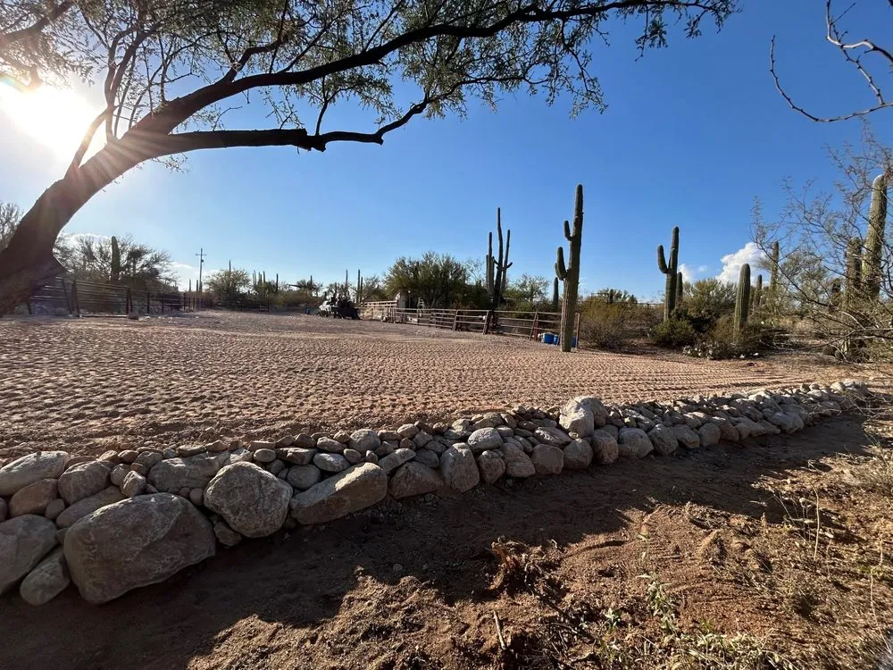 Top-rated yard cleanup service with custom design across Marana, AZ - Hercs Works