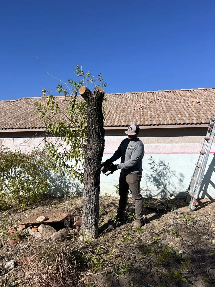 Top-rated residential landscaping for beautiful yards in Marana, AZ by Hercs Works