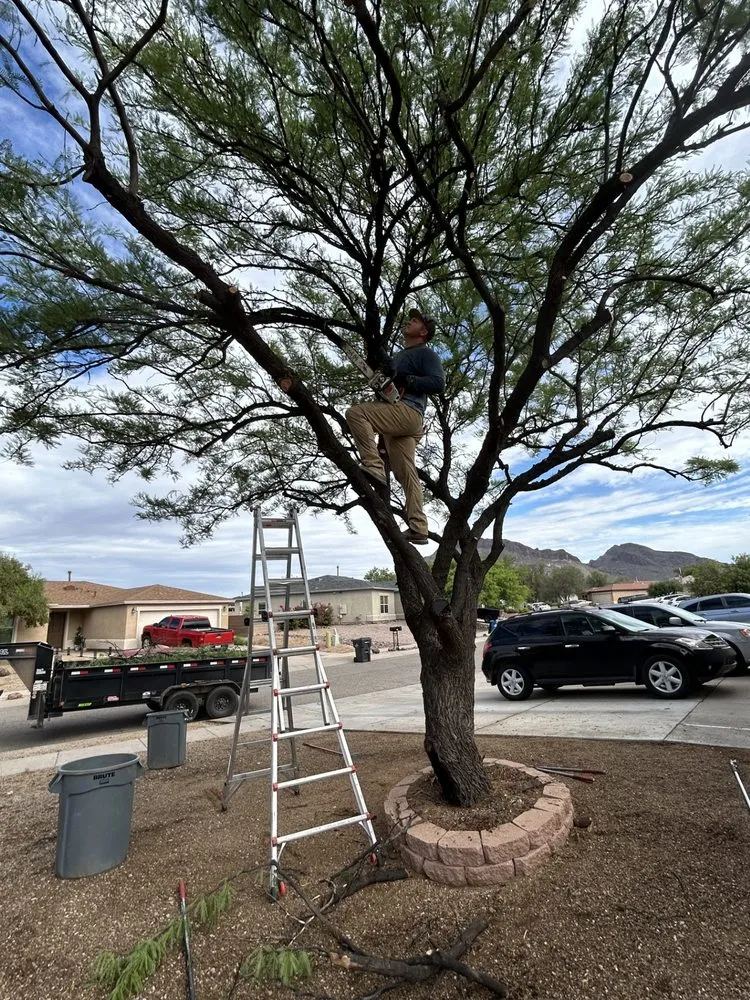 Reliable landscape installation experts serving Marana, AZ - Hercs Works