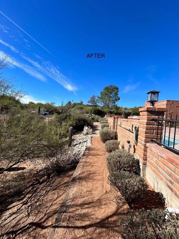 Affordable lawn mowing service in Marana, AZ by Hercs Works