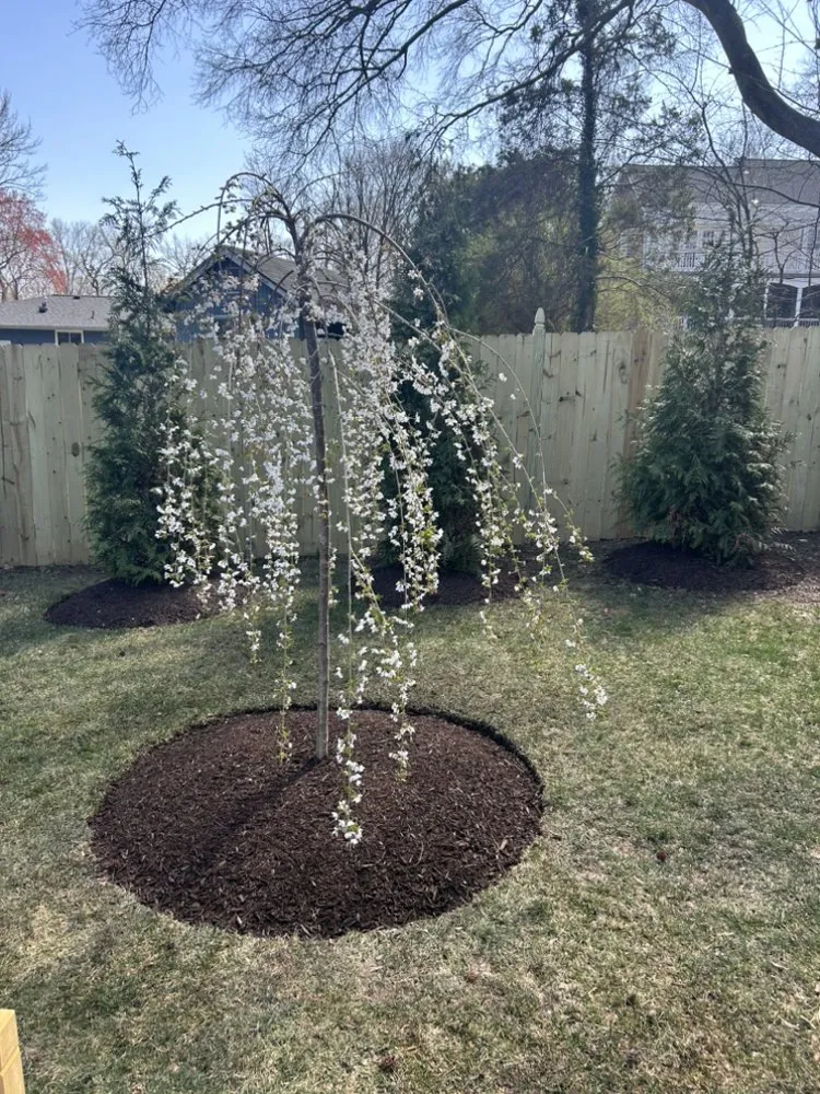 Custom outdoor landscaping in Manassas Park, VA - Hercules & Sons Landscaping