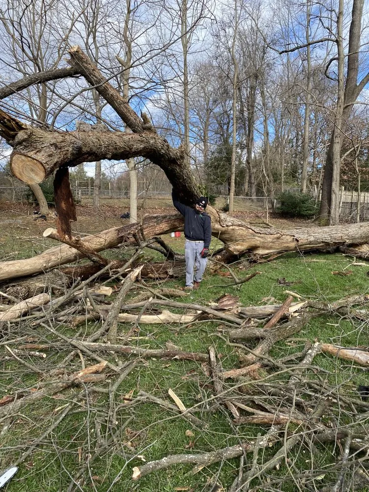 Reliable yard maintenance experts serving Manassas Park, VA - Hercules & Sons Landscaping