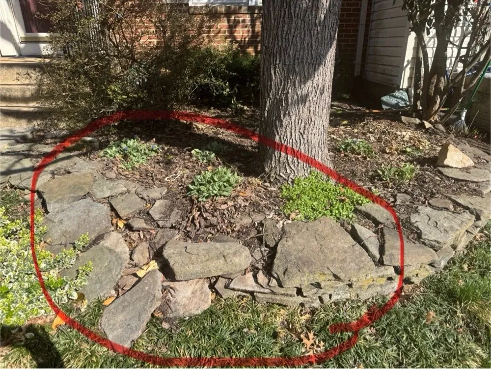 Top-rated outdoor landscaping experts serving Manassas Park, VA - Hercules & Sons Landscaping