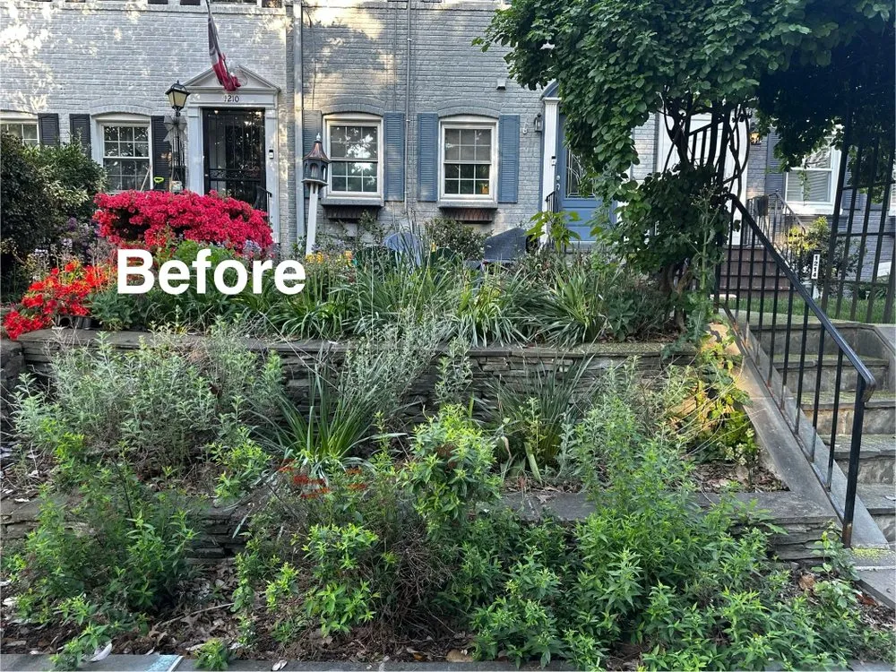 Trusted lawn mowing service in Manassas Park, VA - Hercules & Sons Landscaping