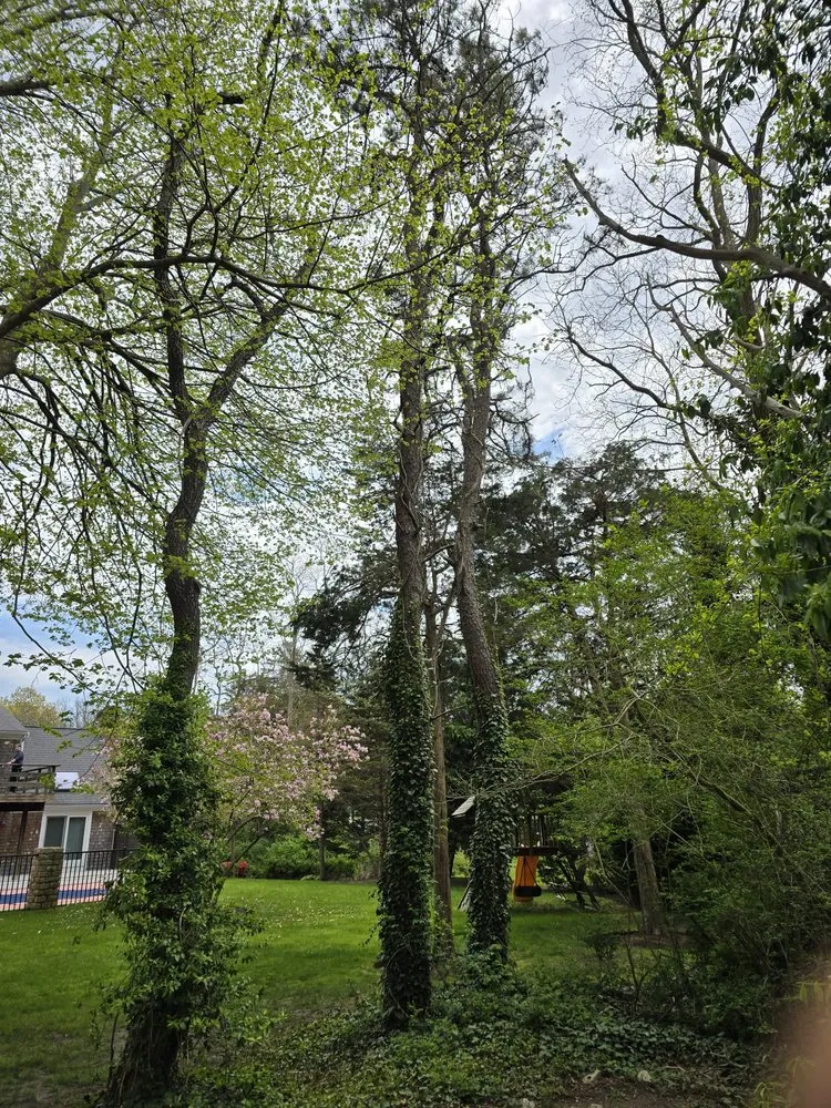 Affordable lawn mowing service for beautiful yards in Barnstable, MA by Hercules Landscaping