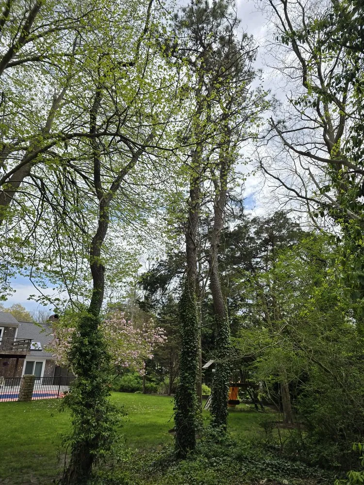 Local residential landscaping for beautiful yards across Barnstable, MA - Hercules Landscaping