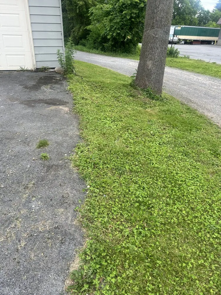 Expert landscape installation for year-round maintenance across Central Square, NY - Hercules Lawn Care Services