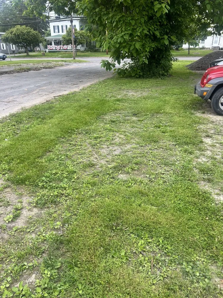 Expert lawn care service experts serving Central Square, NY - Hercules Lawn Care Services