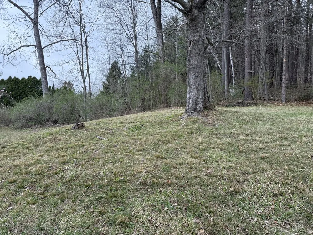 Local outdoor landscaping near you in Pittsfield, MA by Here and There Lawn Care