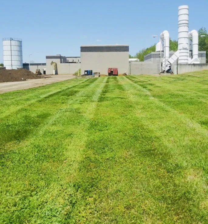 Affordable yard cleanup service in NC, NC - Here for the Grass