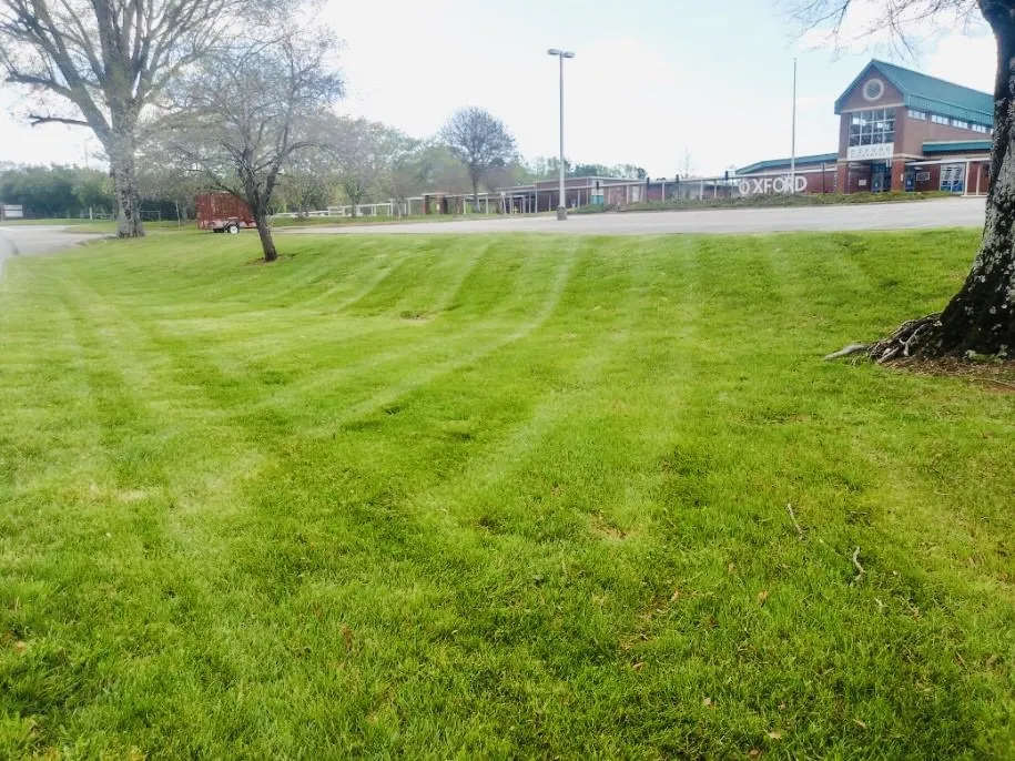 Top-rated lawn care service experts serving NC, NC - Here for the Grass